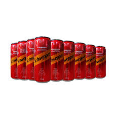 Schweppes Chapman Carton (24)